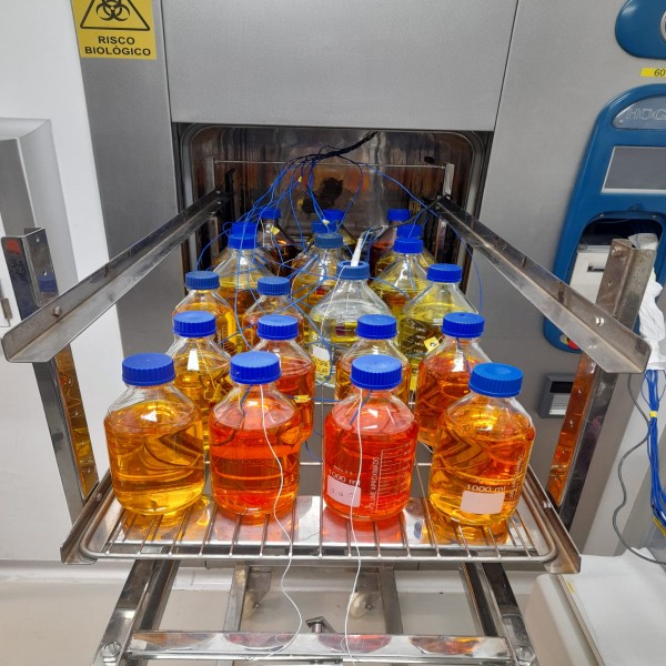 Qualificação de desempenho autoclave